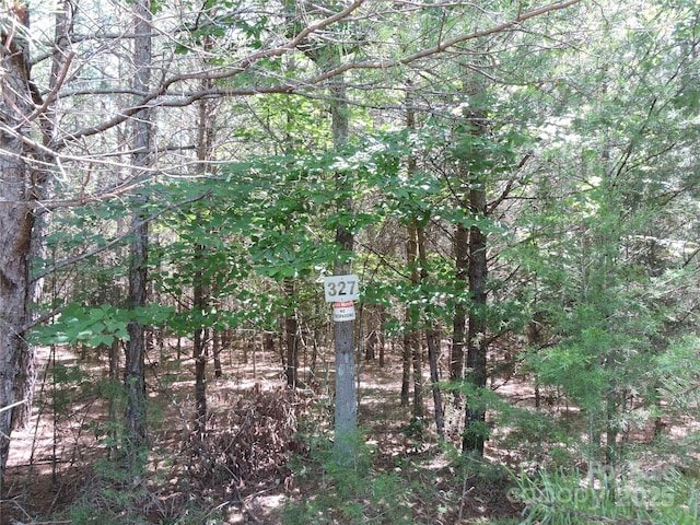 000 N Dakota Dr, Rutherfordton, NC 28139