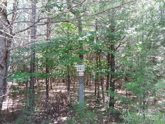 000 N Dakota Dr Unit 327, Rutherfordton, NC 28139 - photo 4