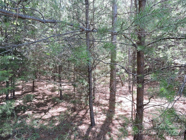 000 N Dakota Dr, Rutherfordton, NC 28139