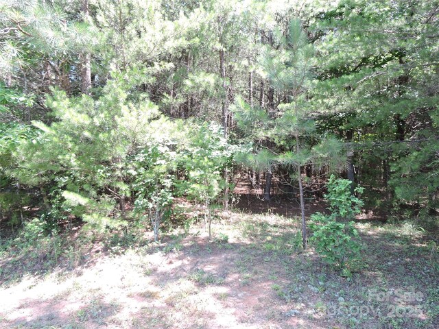 000 N Dakota Dr Unit 327, Rutherfordton, NC 28139 - photo 6