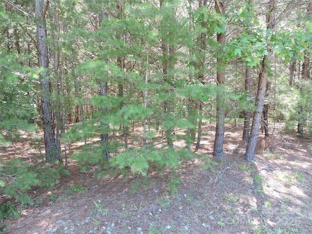 000 N Dakota Dr, Rutherfordton, NC 28139
