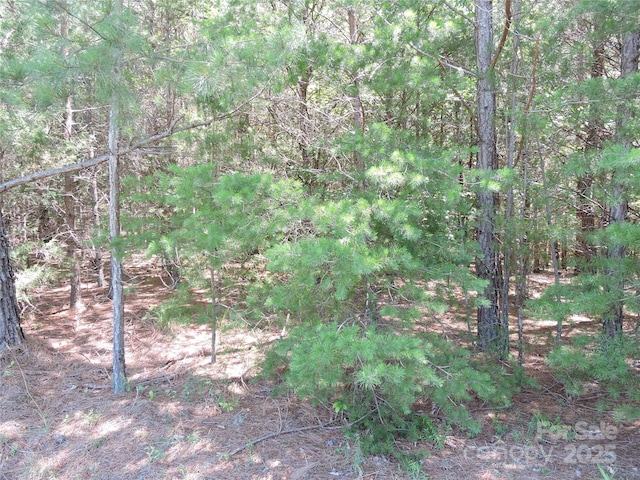 000 N Dakota Dr, Rutherfordton, NC 28139