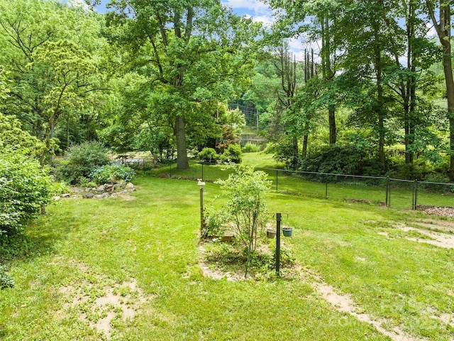 449 Little E Fork Rd, Canton, NC 28716 - view of yard