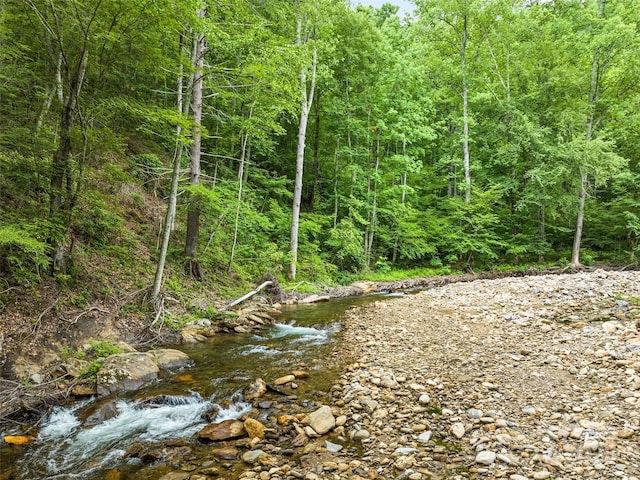 449 Little E Fork Rd, Canton, NC 28716 - view of woods