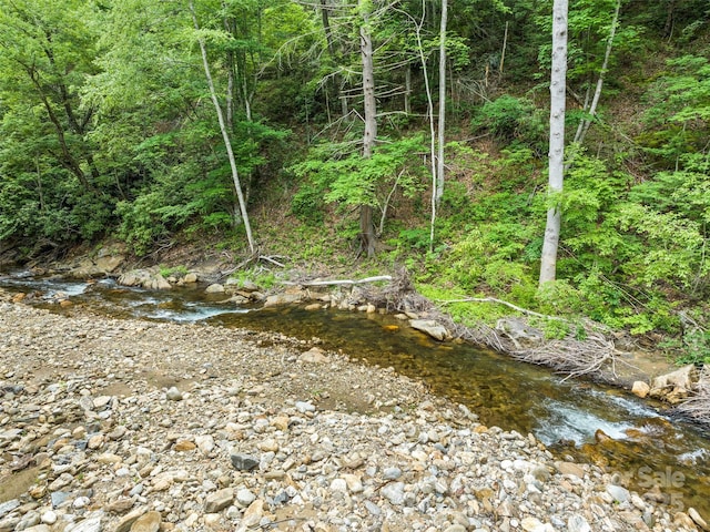 449 Little E Fork Rd, Canton, NC 28716 - view of woods