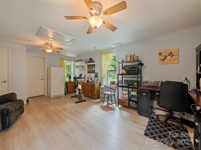 449 Little E Fork Rd, Canton, NC 28716 - home office featuring a ceiling fan, light wood-style floors, and attic access