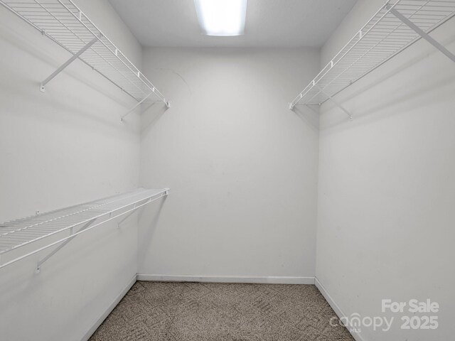 436 Utsonati Ln, Brevard, NC 28712 - walk in closet with carpet
