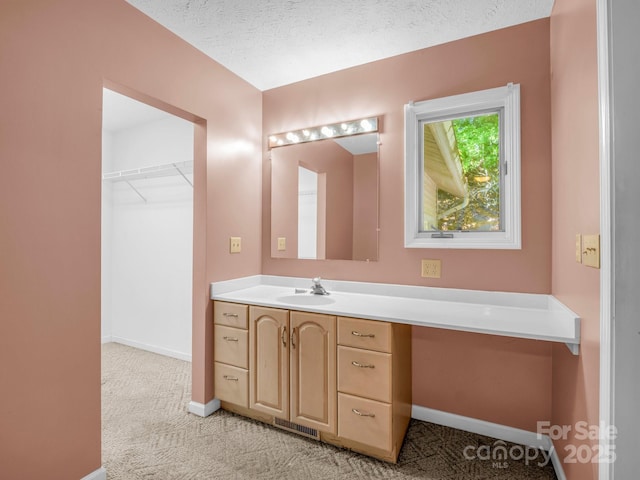 436 Utsonati Ln, Brevard, NC 28712 - bathroom with vanity and baseboards