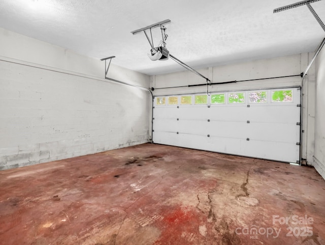436 Utsonati Ln, Brevard, NC 28712 - garage with a garage door opener and concrete block wall