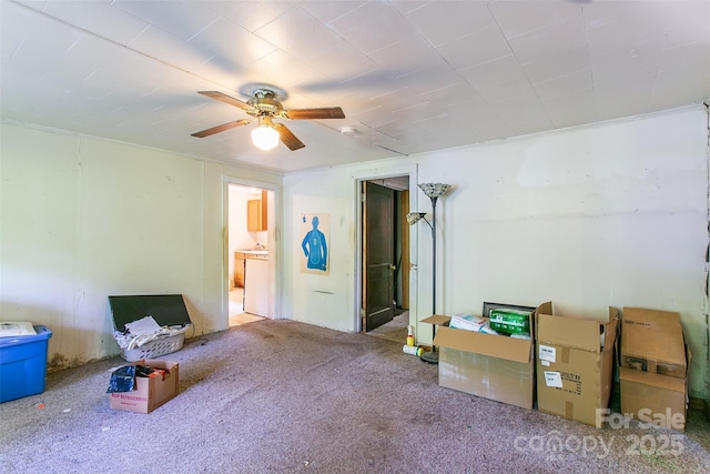 121 Sugar Cove Rd, Weaverville, NC 28787 - unfurnished room with ceiling fan and carpet flooring