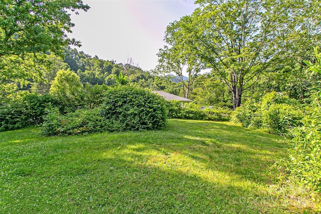 121 Sugar Cove Rd, Weaverville, NC 28787 - view of green lawn