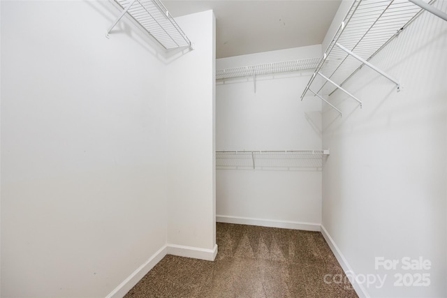 12812 Bradford Hill Ln, Huntersville, NC 28078 - walk in closet with carpet flooring