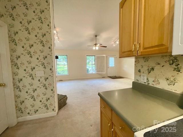141 Marys Ln, Rutherfordton, NC 28139 - photo 12