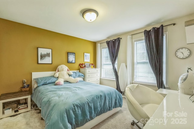2100 Darian Way, Waxhaw, NC 28173 - bedroom with carpet floors