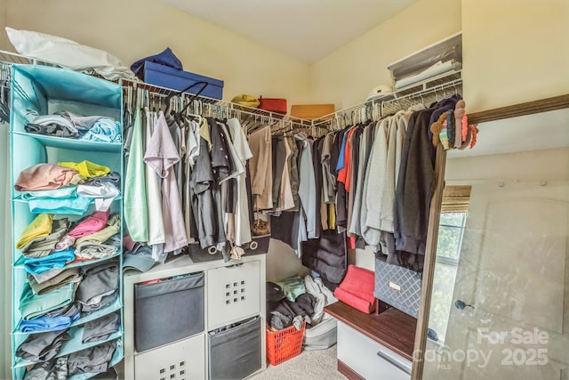 2100 Darian Way, Waxhaw, NC 28173 - spacious closet with carpet floors