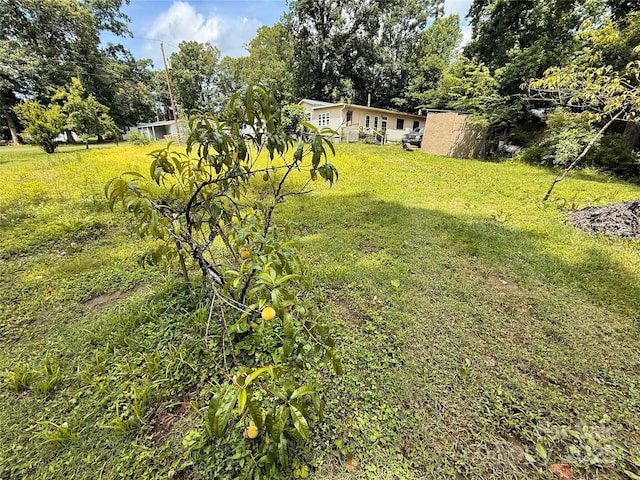 370 Miracle Dr, Salisbury, NC 28146 - photo 39