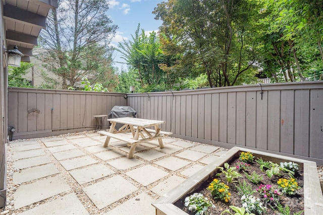 4725 Rounding Run Rd, Charlotte, NC 28277 - fenced backyard with a patio and grilling area
