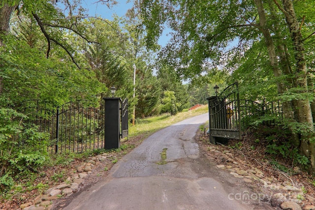 69 Sprouse Town Rd, Weaverville, NC 28787 - view of gate