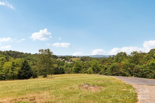 69 Sprouse Town Rd, Weaverville, NC 28787 - view of yard featuring a forest view