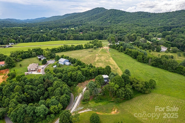 22 Lara Dr, Mills River, NC 28759 - photo 5
