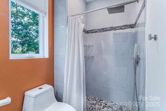 22 Lara Dr, Mills River, NC 28759 - photo 14
