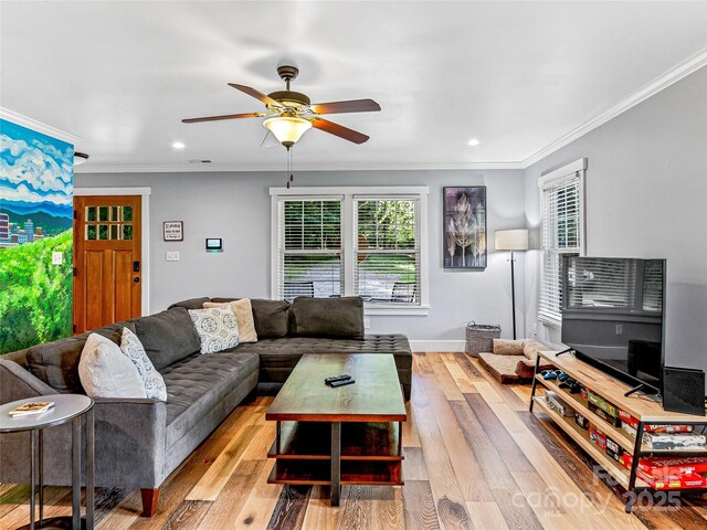 202 Mostert Dr, Asheville, NC 28804 - photo 6