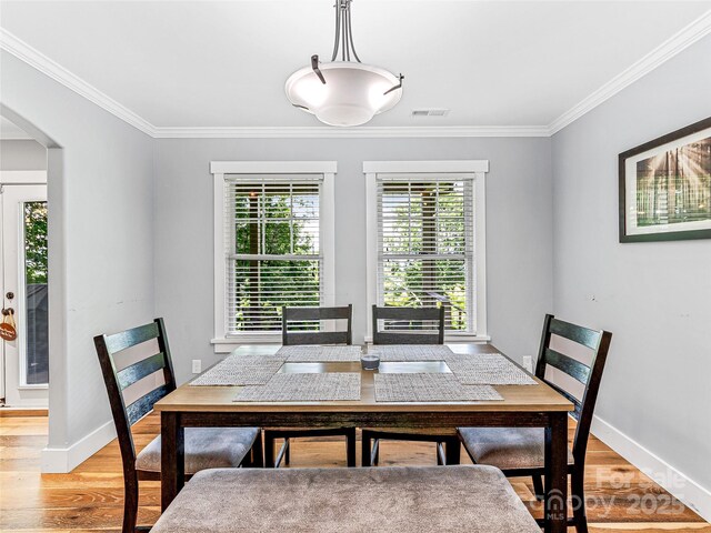202 Mostert Dr, Asheville, NC 28804 - photo 11
