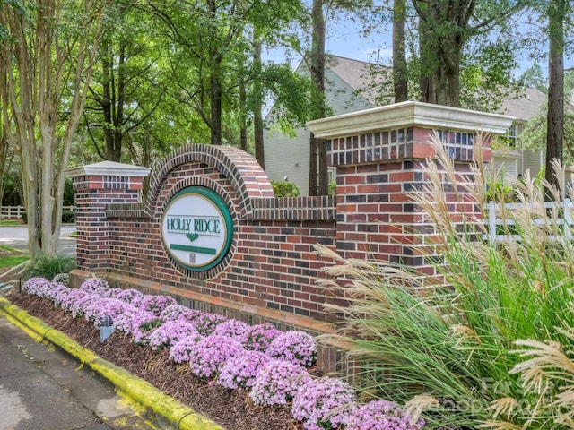 10105 Reindeer Way Ln, Charlotte, NC 28216 - photo 39