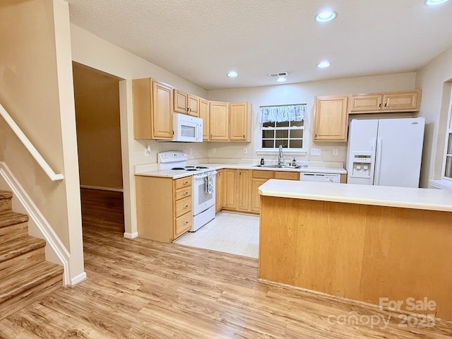10105 Reindeer Way Ln, Charlotte, NC 28216 - photo 13