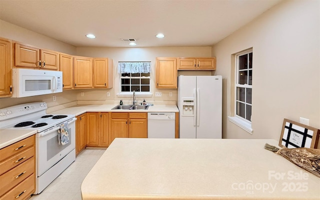 10105 Reindeer Way Ln, Charlotte, NC 28216 - photo 12