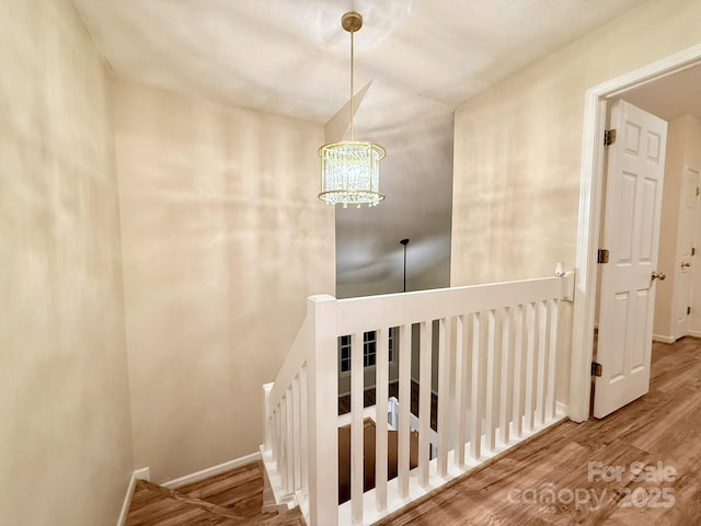 10105 Reindeer Way Ln, Charlotte, NC 28216 - photo 31