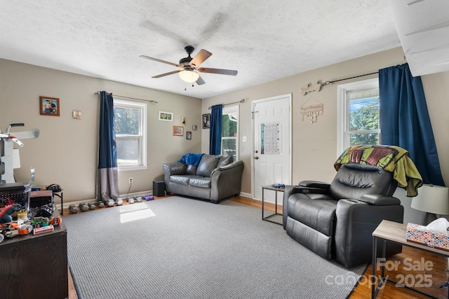 4006 Sol Mull St, Morganton, NC 28655 - living room featuring healthy amount of natural light, a ceiling fan, a textured ceiling, and wood finished floors