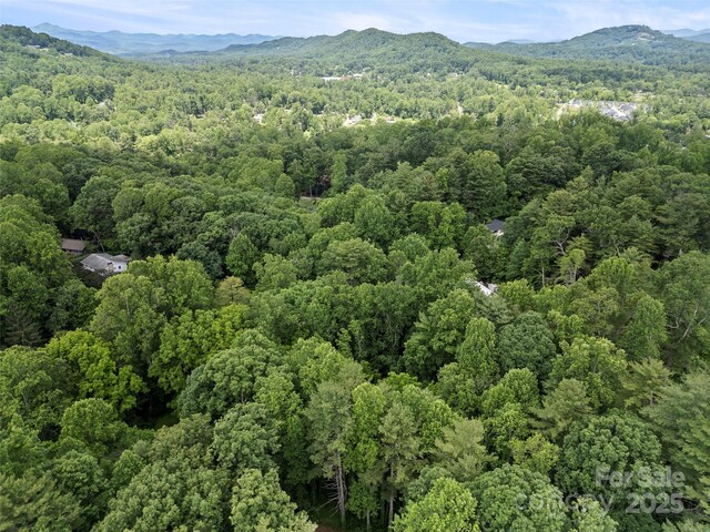 212 Ohara Cir, Hendersonville, NC 28739 - photo 33