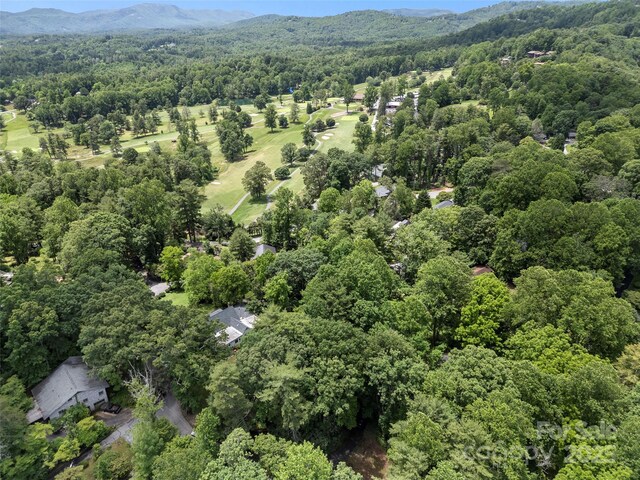 212 Ohara Cir, Hendersonville, NC 28739 - photo 34