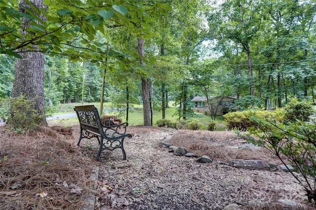 9763 Pine Tree Rd, Norwood, NC 28128 - view of yard