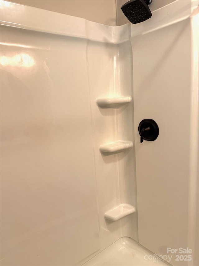 9763 Pine Tree Rd, Norwood, NC 28128 - bathroom view of a shower