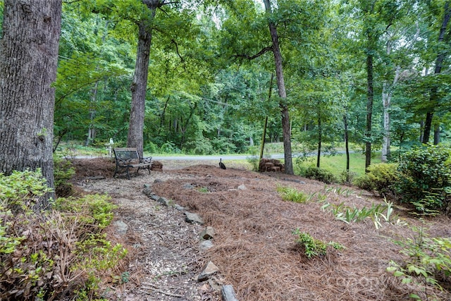 9763 Pine Tree Rd, Norwood, NC 28128 - view of yard featuring a wooded view