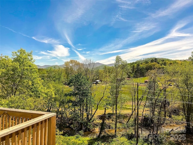 154 Amblers Knoll Rd, Weaverville, NC 28787 - view of mountain background