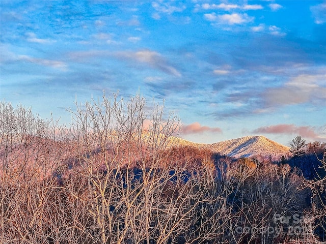 154 Amblers Knoll Rd, Weaverville, NC 28787 - view of mountain background
