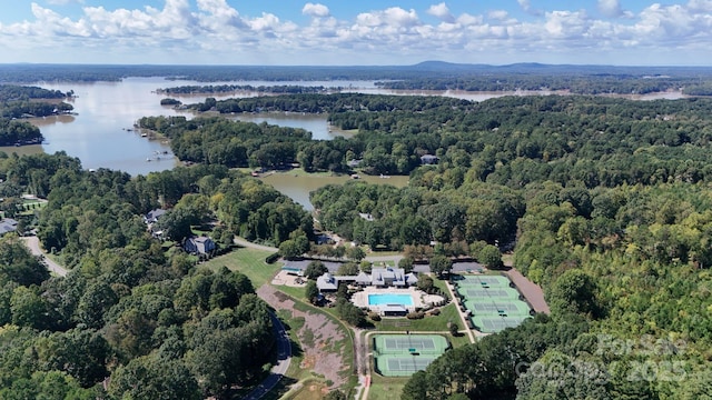 347 Bayberry Creek Cir, Mooresville, NC 28117 - view of property location featuring a heavily wooded area and a nearby body of water