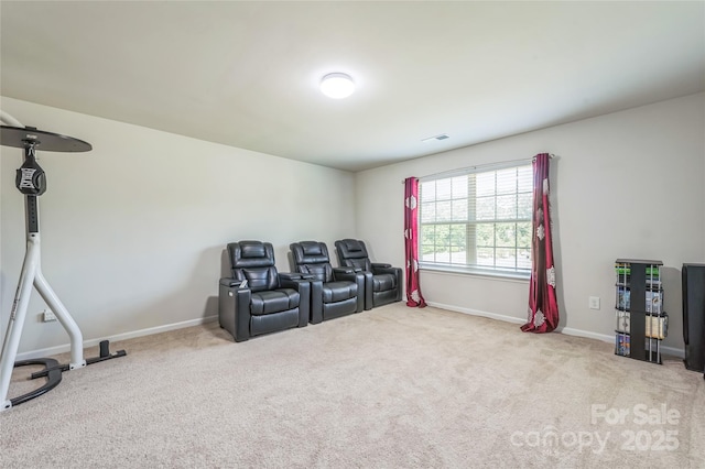 1012 Leland Dr, Wesley Chapel, NC 28104 - cinema featuring carpet