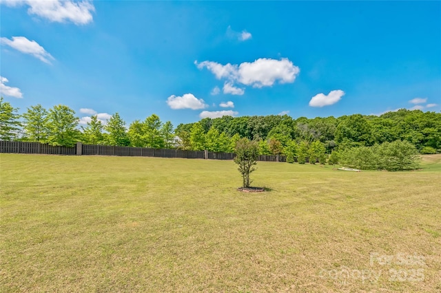 1012 Leland Dr, Wesley Chapel, NC 28104 - view of yard