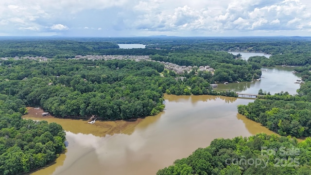 11412 Preservation Ln, Charlotte, NC 28278 - aerial view of a heavily wooded area and a large body of water