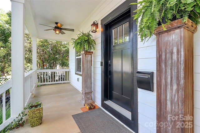 323 Keswick Ave, Charlotte, NC 28206 - photo 4