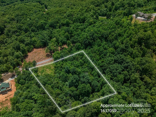 LOT4 Highland Dr, Lake Lure, NC 28746