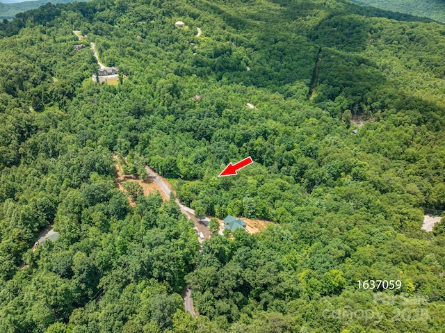 LOT4 Highland Dr, Lake Lure, NC 28746