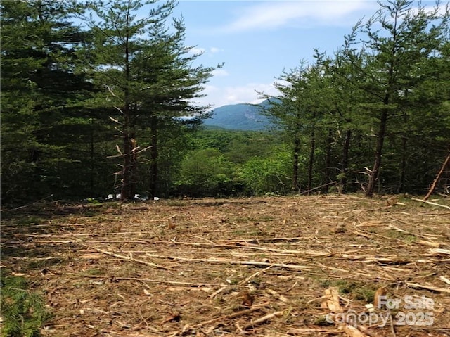 LOT4 Highland Dr, Lake Lure, NC 28746
