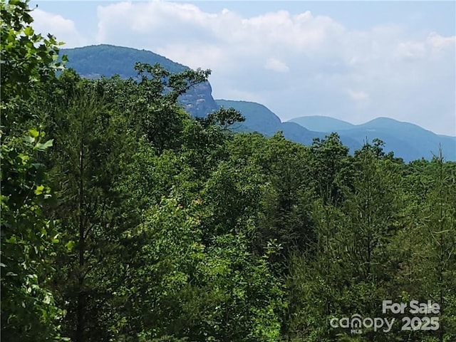 LOT4 Highland Dr, Lake Lure, NC 28746
