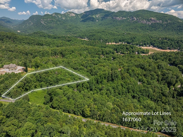 LOT5 Highland Dr, Lake Lure, NC 28746 - photo 1