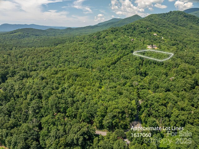 LOT5 Highland Dr, Lake Lure, NC 28746 - photo 2